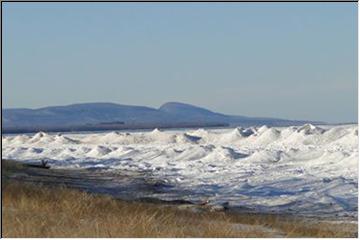 Icy shores