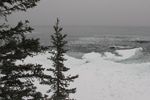 Icy Harbor
