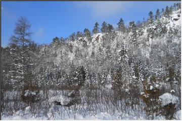 Covered cliffs