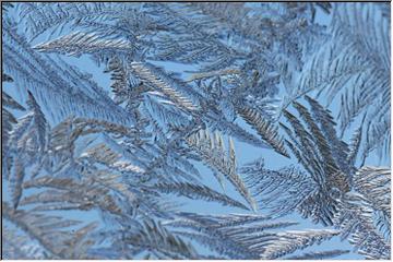 Jack Frost's handiwork