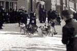 Oldtime Dog Sled