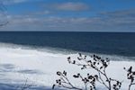 Open waters