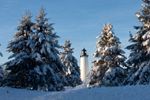 Seeing the light