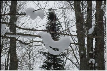Winter smile