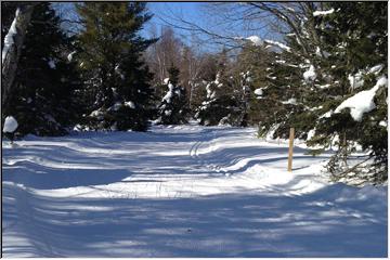 Cross Country ski