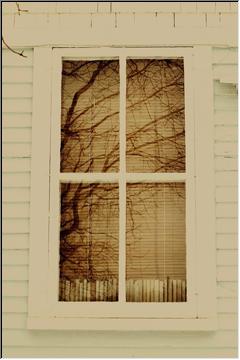 Window stories