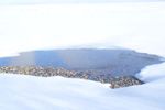 Open shoreline