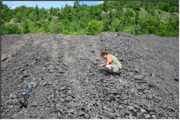 Rock hounding