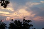Beautiful view