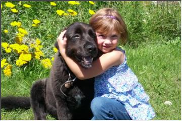 Goodbye to Shadow