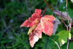 Fall is on the way