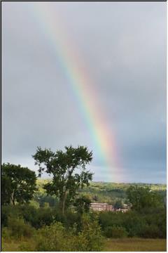 Spectrum of color