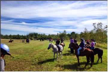 Trail ride