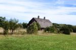 Country scene