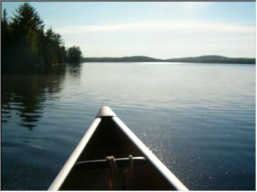 In search of . . .