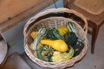 Colorful fall decoartions