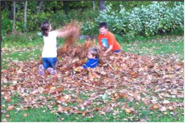 Fun with leaves