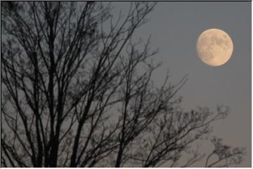 Fall moon