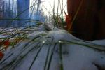 Ground level snow