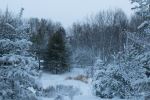 New Nature area