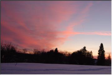 Pink sky