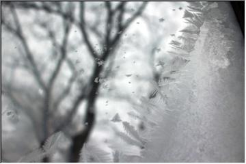 Frosted window