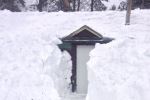 Stuck near the top