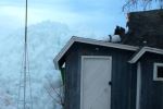 Ice tsunami