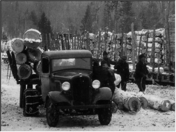 Logging