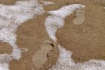 Prints on the beach