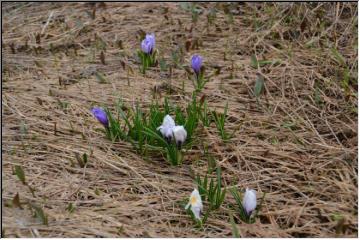 Spring is here!