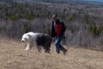 Walking Diesel