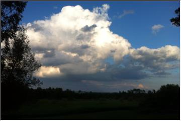 Puffy white