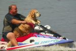 Riding Golden