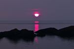 Sailor's delight