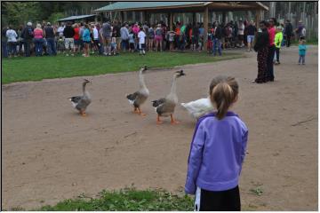 Fun at the zoo