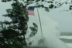 Whipped by wind