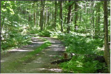 The way in