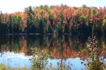 Fall X two