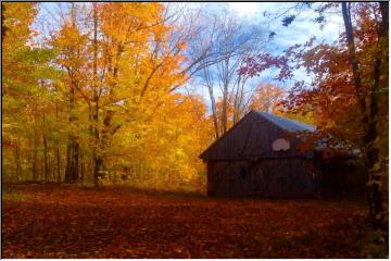 Picture perfect day