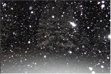 Snowflakes