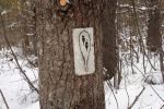 Follow the signs