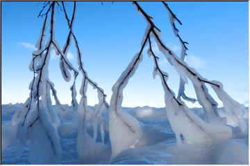 Frozen shores