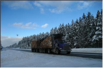 Hauling logs