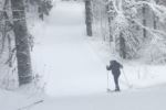 Winter exercise
