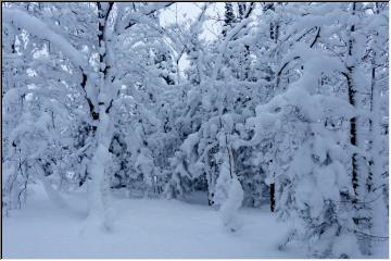 Thick snow cover