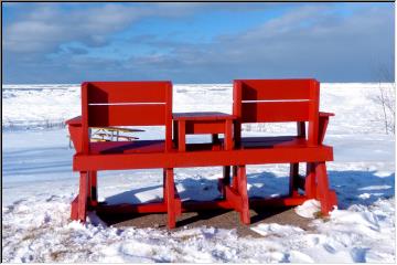 Bench with a viewl