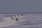 Ice Bridge