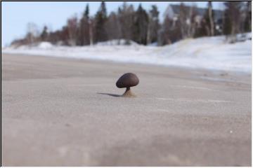 Suspended rock