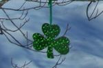 Lucky leaf